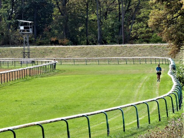 10. Herrenkrugparklauf