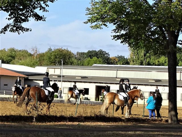 10. Herrenkrugparklauf